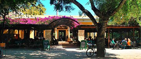 Municipal garden
